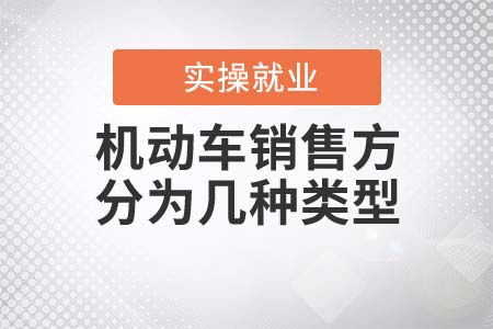機動車銷售方類型解析 聚焦國內(nèi)貿(mào)易代理
